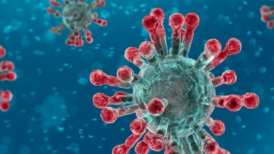 2020-02-07-koronavirus.jpg_1987258066-wide1280.jpg